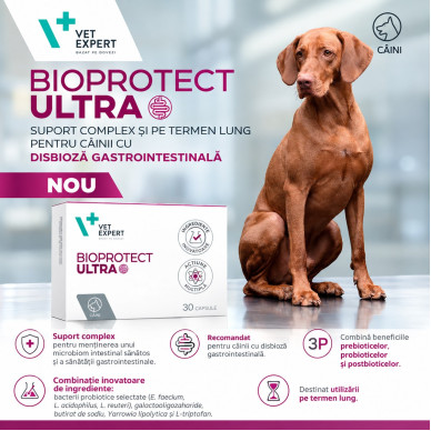BioProtect ULTRA VetExpert, 30 tablete – suport digestiv pentru câini și pisici